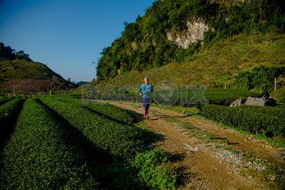 Vietnam Trail Marathon 2019