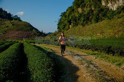 Vietnam Trail Marathon 2019