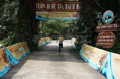 Chạy Để Bảo Tồn Động, Thực Vật Hoang Dã