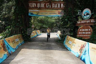 Chạy Để Bảo Tồn Động, Thực Vật Hoang Dã