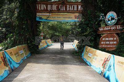 Chạy Để Bảo Tồn Động, Thực Vật Hoang Dã